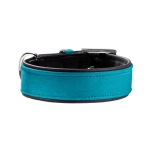 Collar Suede Turquoise