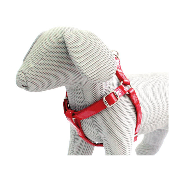 GLOSSY HARNESS RED - ADJUSTABLE