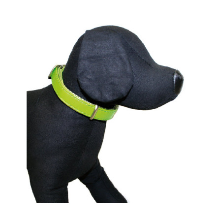 GLOSSY COLLAR IN GREEN - ADJUSTABLE