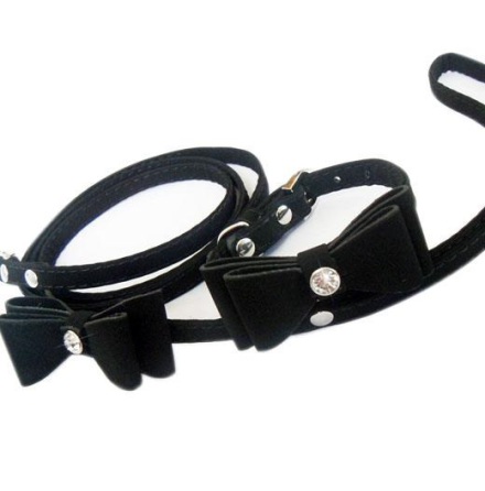 Collar &amp; Leash with black bow