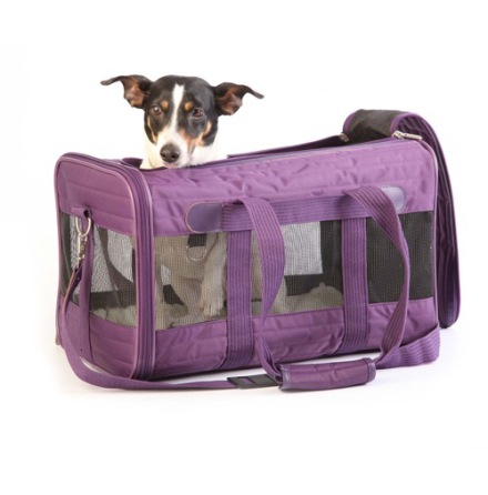 DELUXE Travel Bag  - Purple 