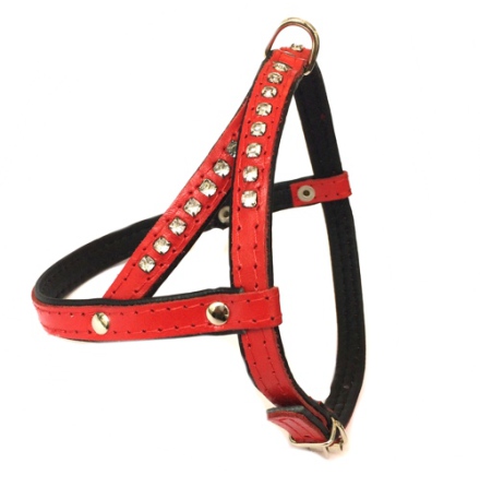 Leather Harness - Red