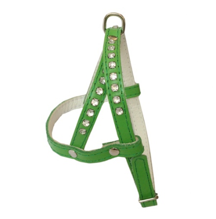 Leather Harness - Green