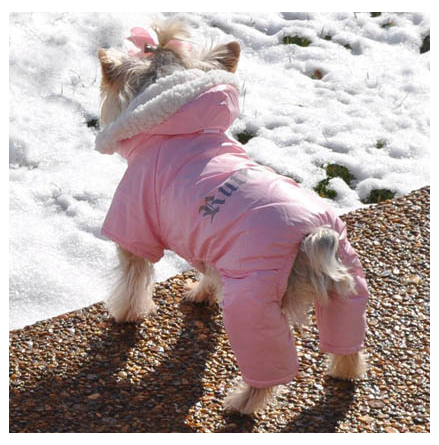 Winter 4-legged Cozy Suit - Pink