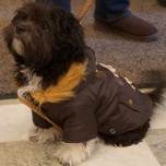 Brown duffle winter coat