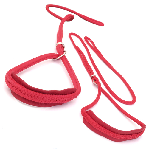 Show Leash Nylon w. leather details - Red
