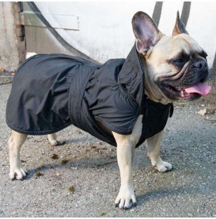 Black Bulldog Coat