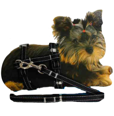 Tiny - Puppy Set nylon harness &amp; Leash - Black 20-29cm x 10mm
