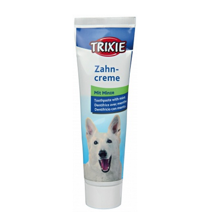 Toothpaste with mint flavour 100g