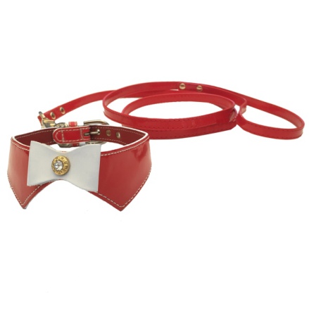 Set Collar &amp; leash  - Red