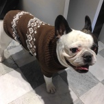 Trondheim (for PUGS&Co) Sweater - Brown 
