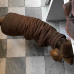 Linden Quilted Fleece Coat - Brown