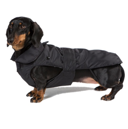 Dachshund Trench Coat w Removable Lining - Black