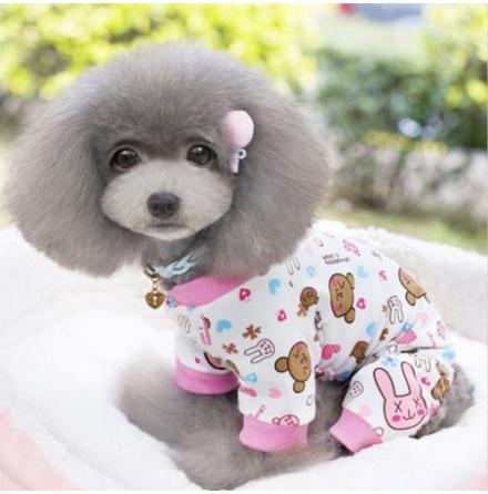 Pyjamas w Bears and Bunnies 