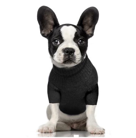 Sequin Scull Sweater - Black