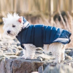 Lexie Padded Dog Coat - Navy Blue