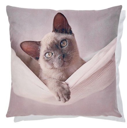 Cushion Cover Cat in a Hammock - Beige  45x45cm