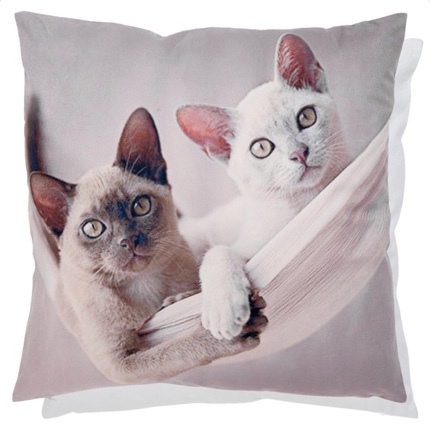 Cushion Cover 2 Cats in Hammock - Beige  45x45cm