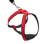 Leather Harness - Red (Without Studs)