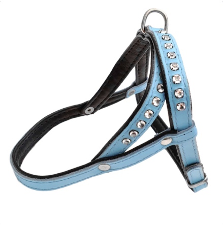 Leather Harness - Baby blue