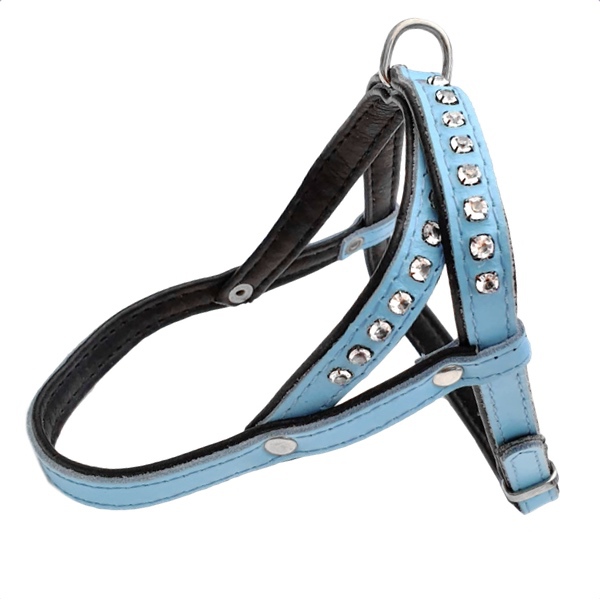 Leather Harness - Baby blue