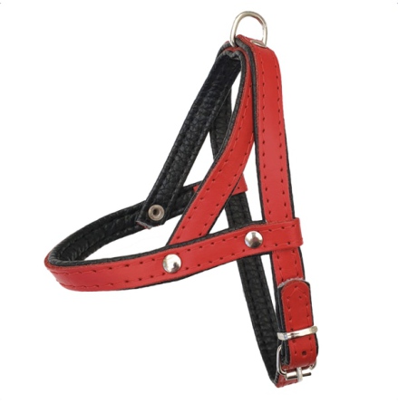 Leather Harness - Red/Black