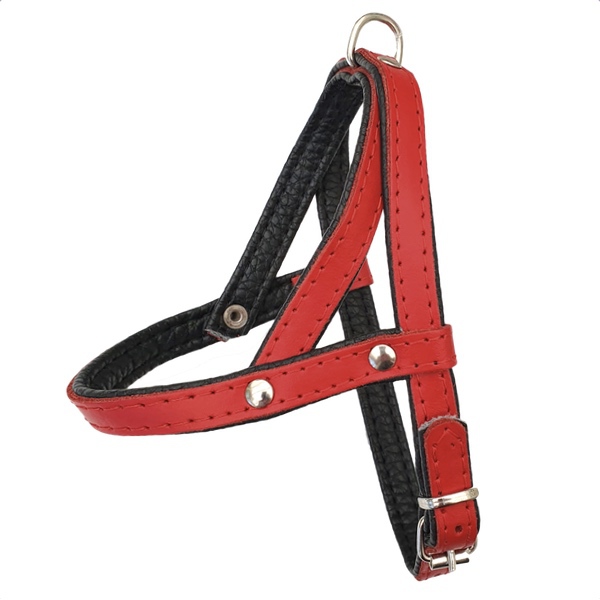 Leather Harness - Red/Black