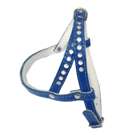 Leather Harness - Blue