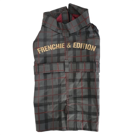 FRENCH BULLDOG Terence Trench 50cm