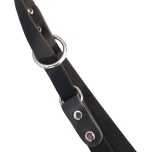 Adjustable Nylon Leash w Leather Details - Black 220x2cm