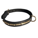 Brooklyn Leather Collar Brass w Large Studs - Black