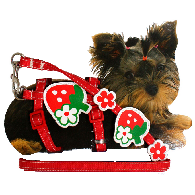 Tiny - Puppy Set nylon adjust. harness & Leash 20-29cm x 10mm - Strawberry